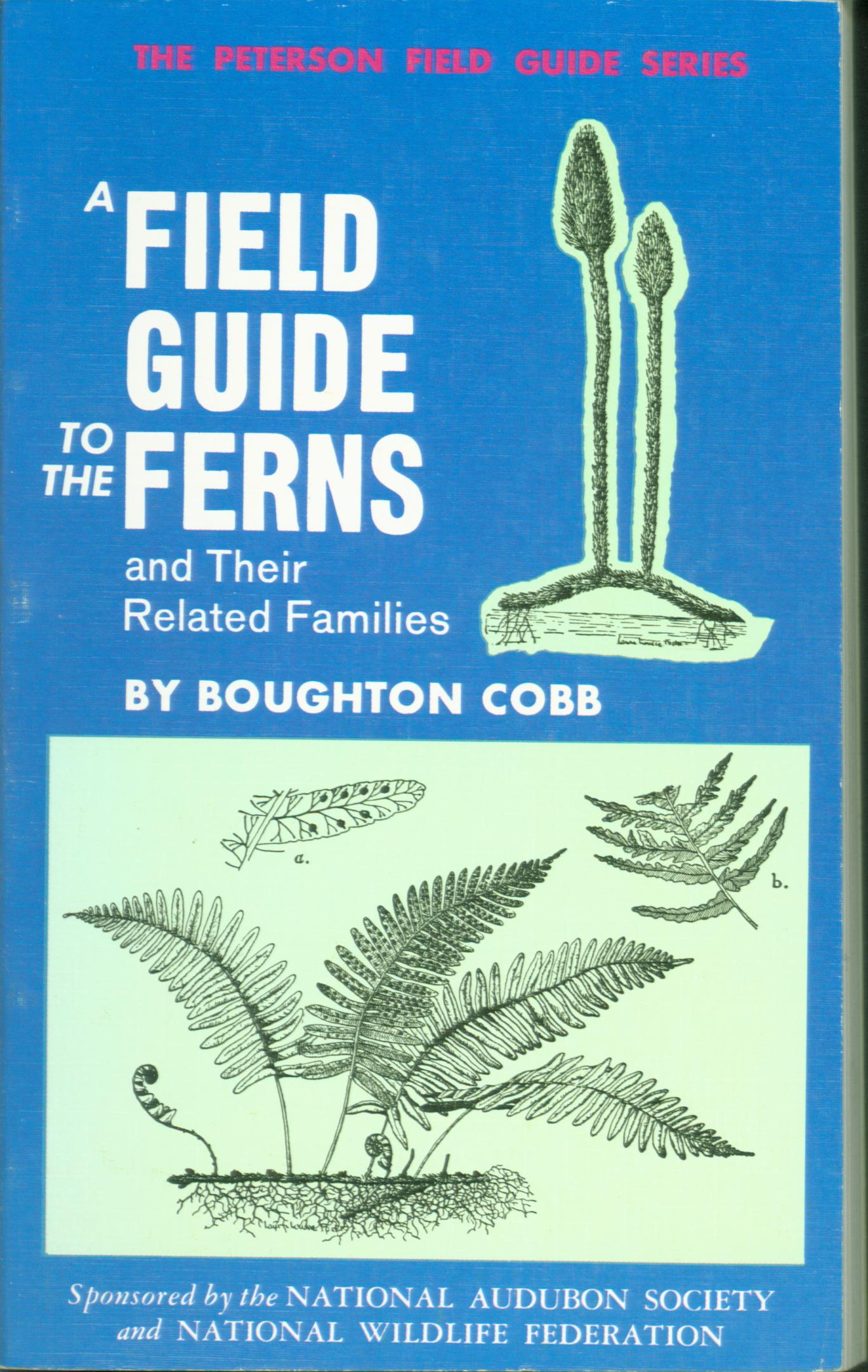 A FIELD GUIDE TO THE FERNS AND THEIR RELATED FAMILIES of northeastern & central North America. 